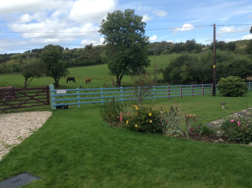 Bauernhof Glan Llyn *